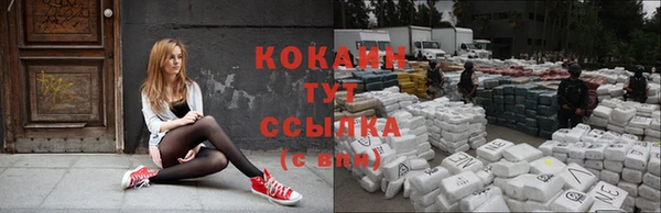 альфа пвп Дмитровск