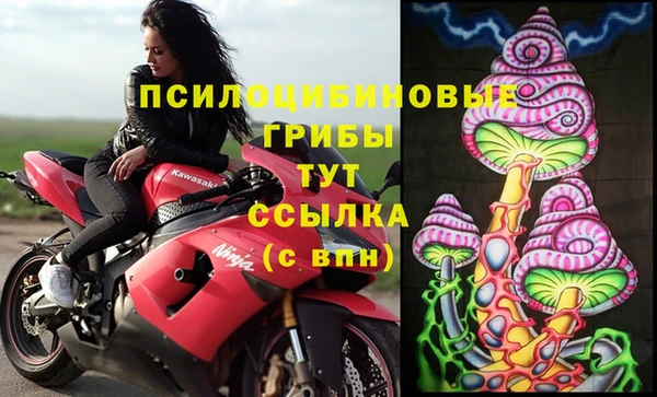 альфа пвп Дмитровск