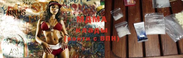 ПСИЛОЦИБИНОВЫЕ ГРИБЫ Дмитриев
