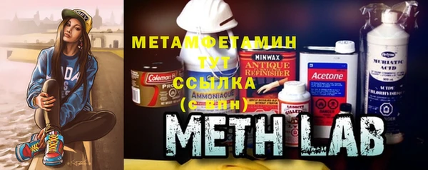 ПСИЛОЦИБИНОВЫЕ ГРИБЫ Дмитриев
