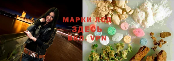 ПСИЛОЦИБИНОВЫЕ ГРИБЫ Дмитриев