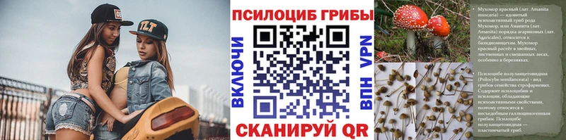 Псилоцибиновые грибы Magic Shrooms  хочу наркоту  ссылка на мегу маркетплейс  Емва 