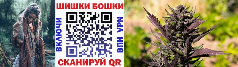 наркота  Емва  Каннабис планчик 